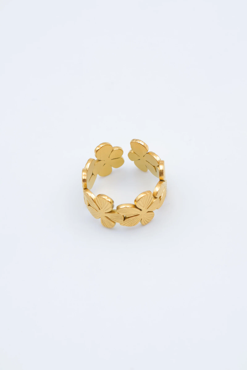 Adjustable stainless steel ring 4