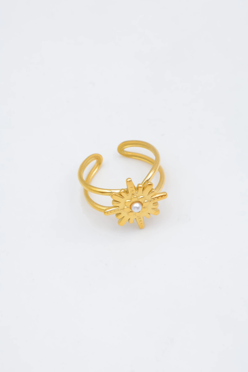 Bague en acier inoxydable ajustable 2