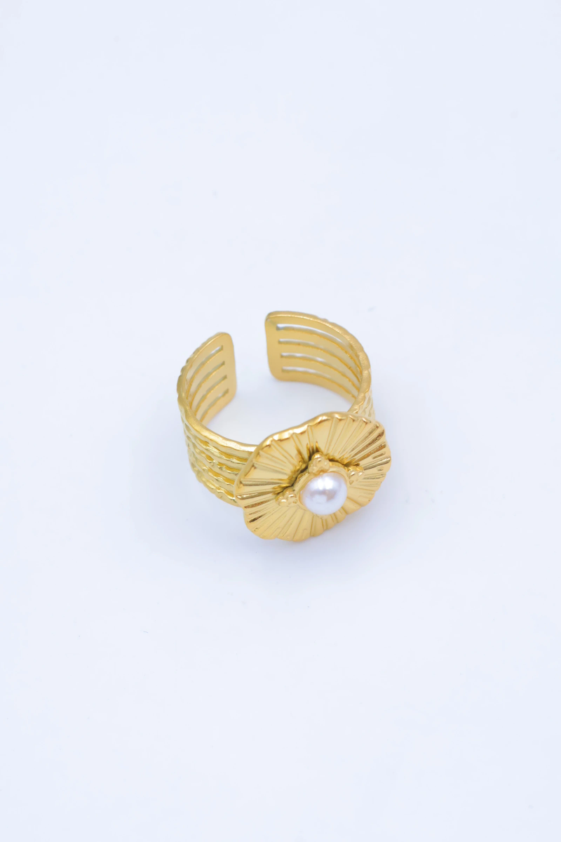 Bague en acier inoxydable ajustable 2