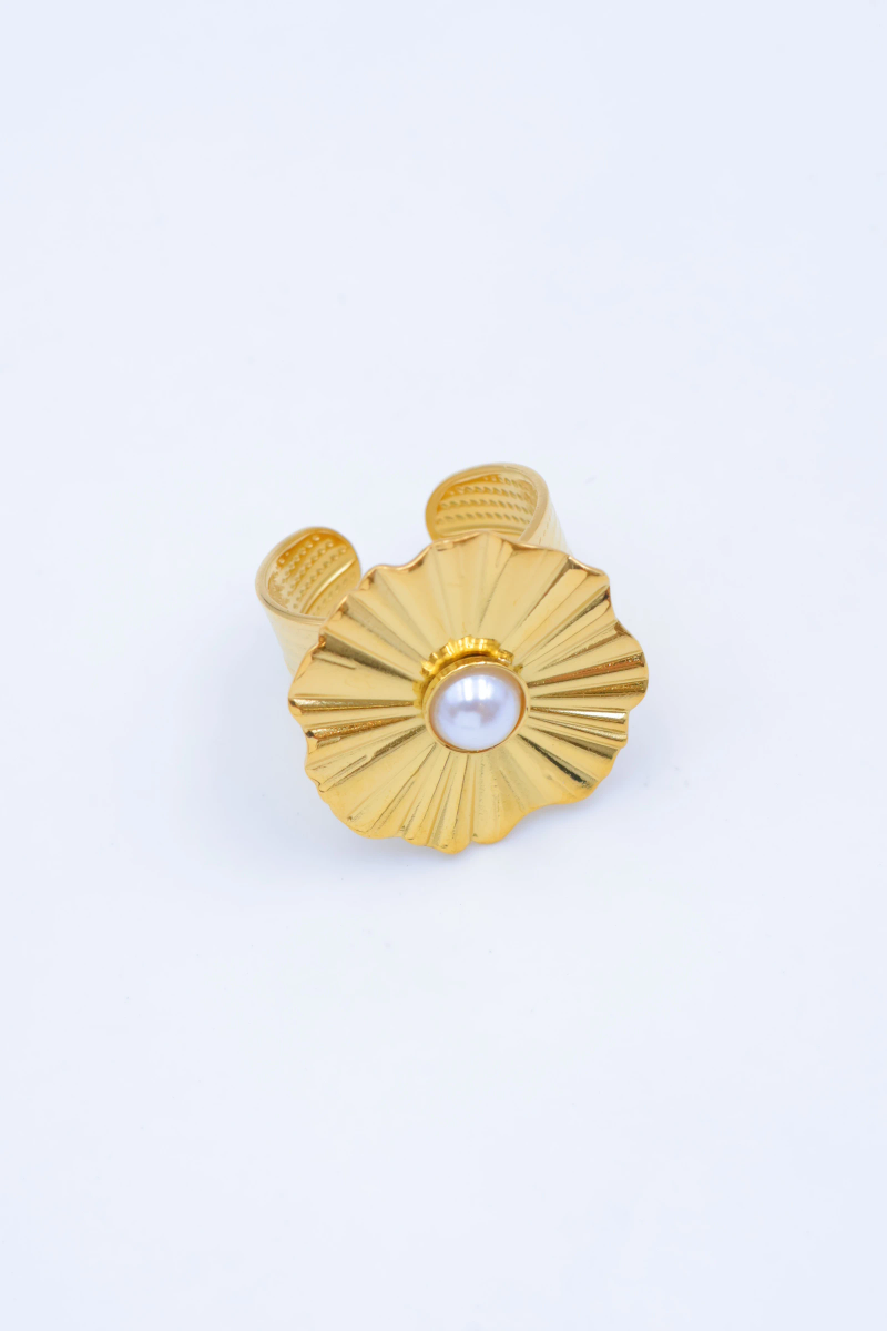 Bague en acier inoxydable ajustable 2