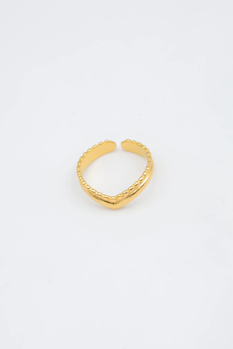 Bague en acier inoxydable ajustable 2
