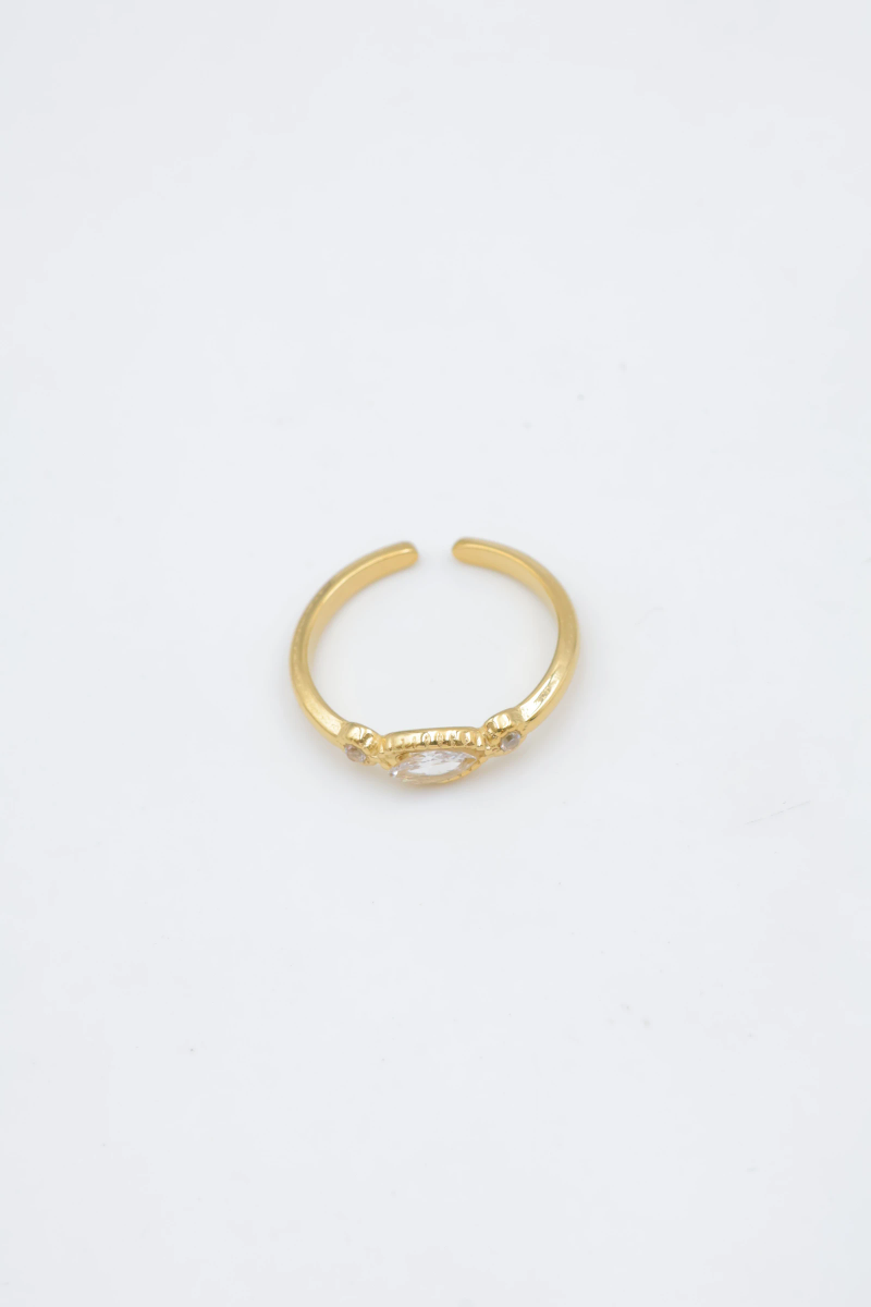 Bague en acier inoxydable ajustable 2