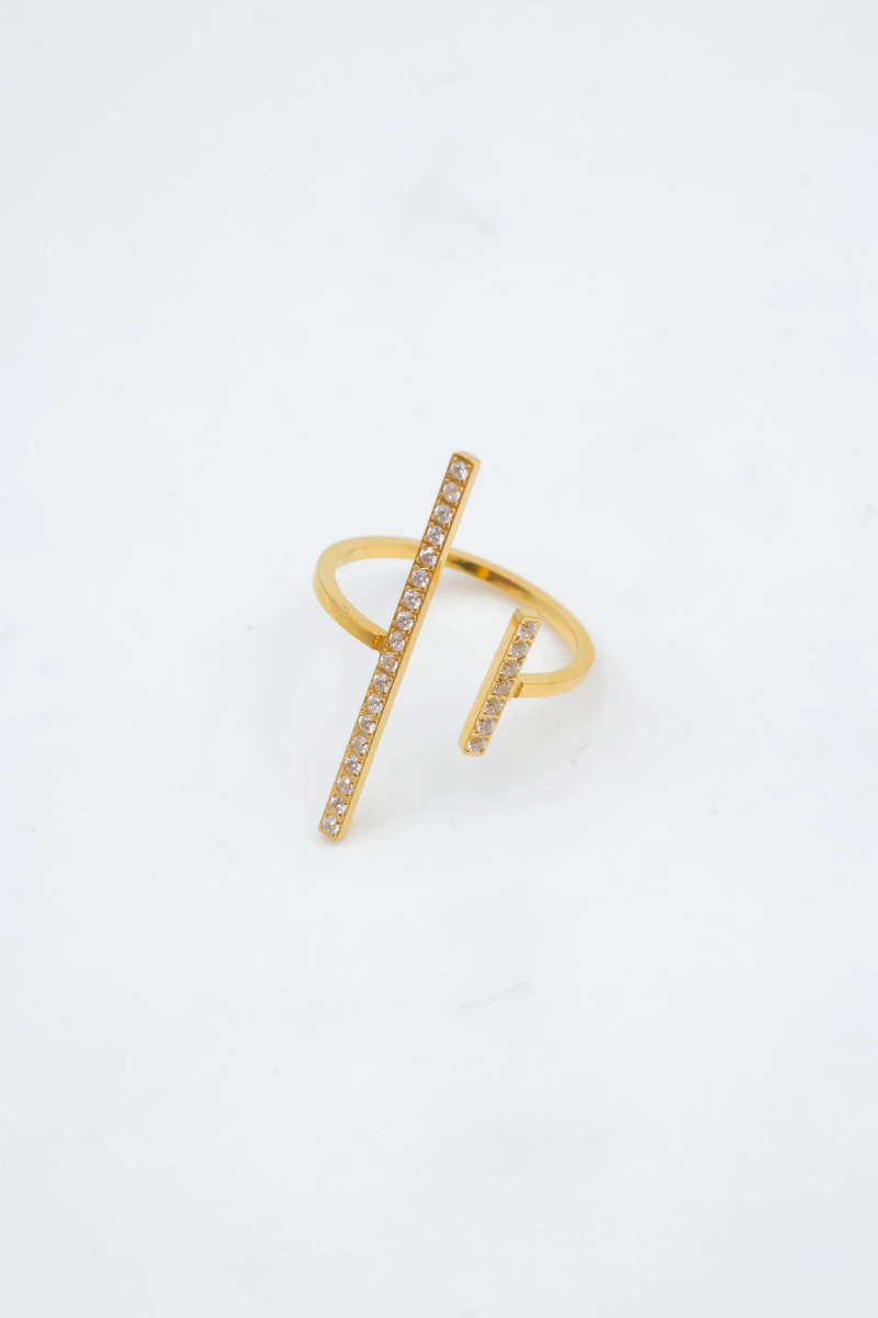Bague en acier inoxydable ajustable 2