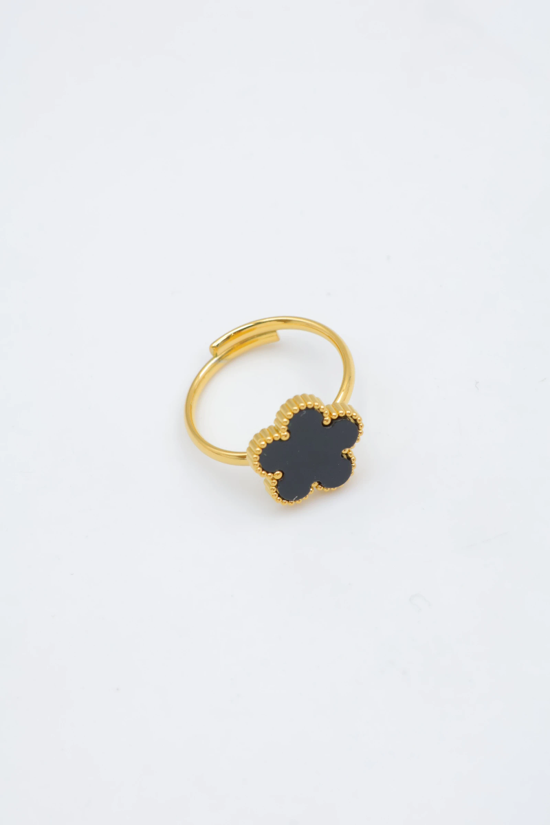Bague en acier inoxydable ajustable 2