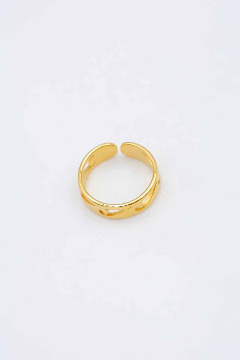 Bague en acier inoxydable ajustable 2