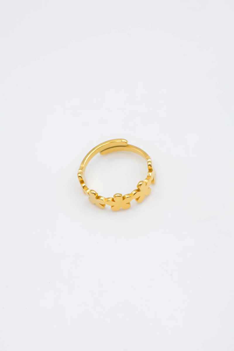 Bague en acier inoxydable ajustable 2
