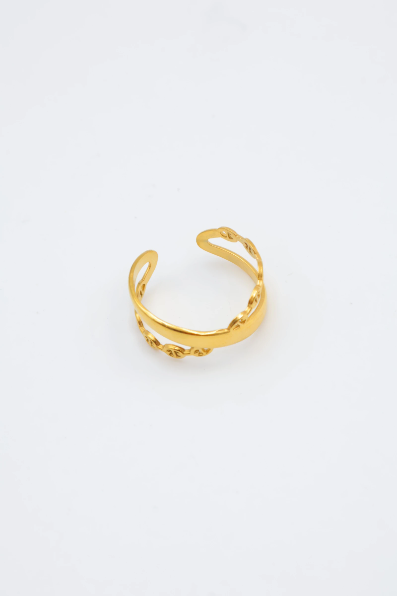 Bague en acier inoxydable ajustable 2