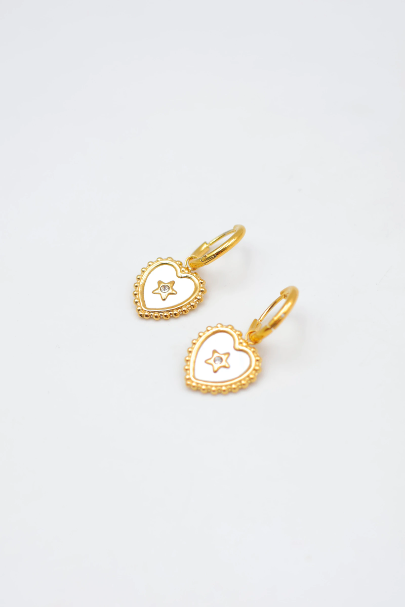 Boucles d'oreilles en acier inoxydable 2
