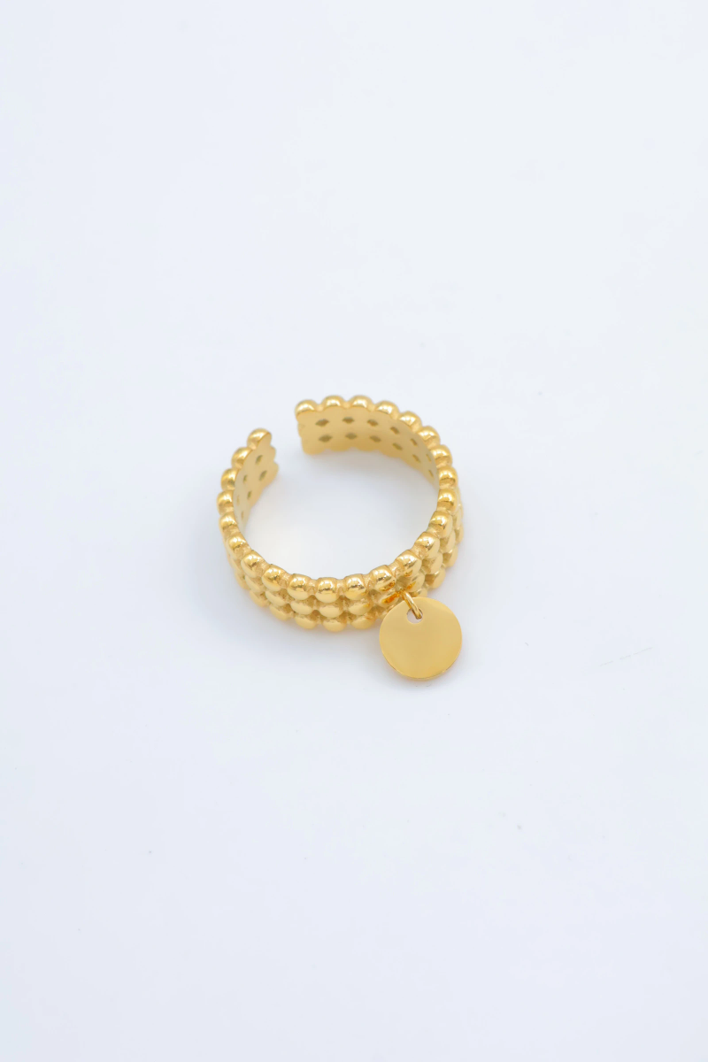 Bague en acier inoxydable ajustable 2