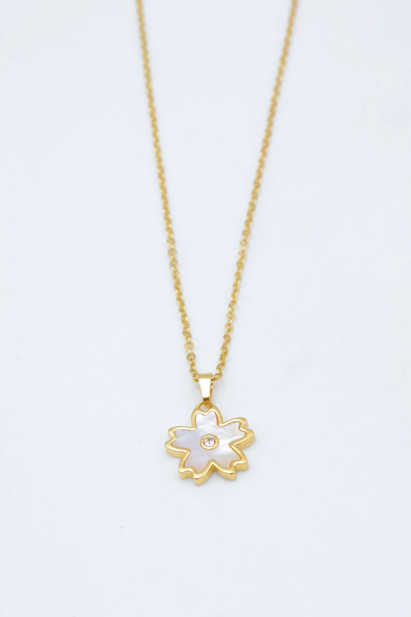 Collier en acier inoxydable 2