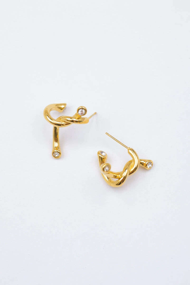 Stainless steel earrings 2