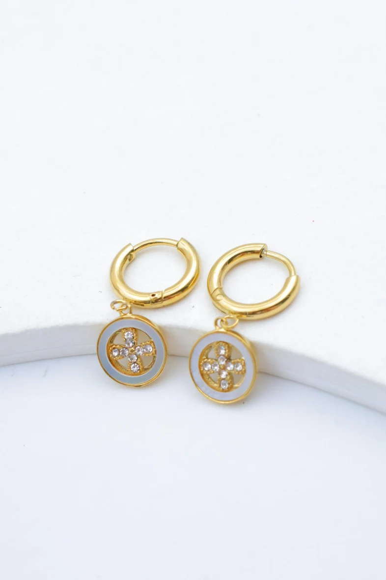 Stainless steel earrings 2