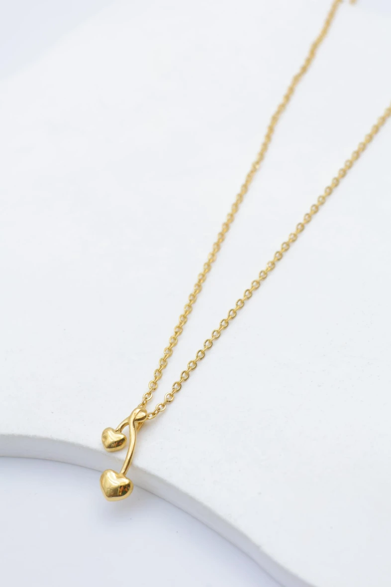 Collier en acier inoxydable 2