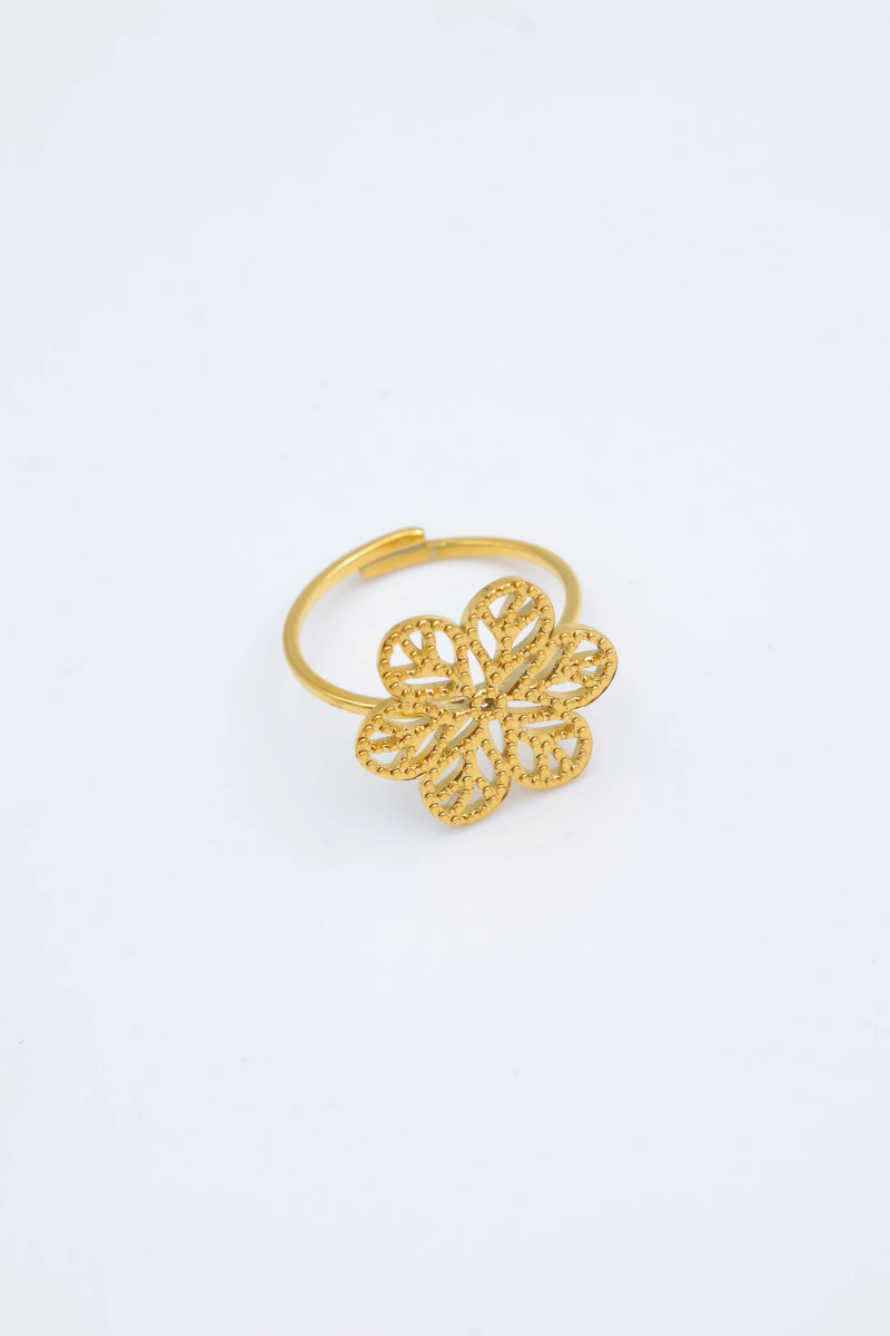 Bague en acier inoxydable ajustable 2