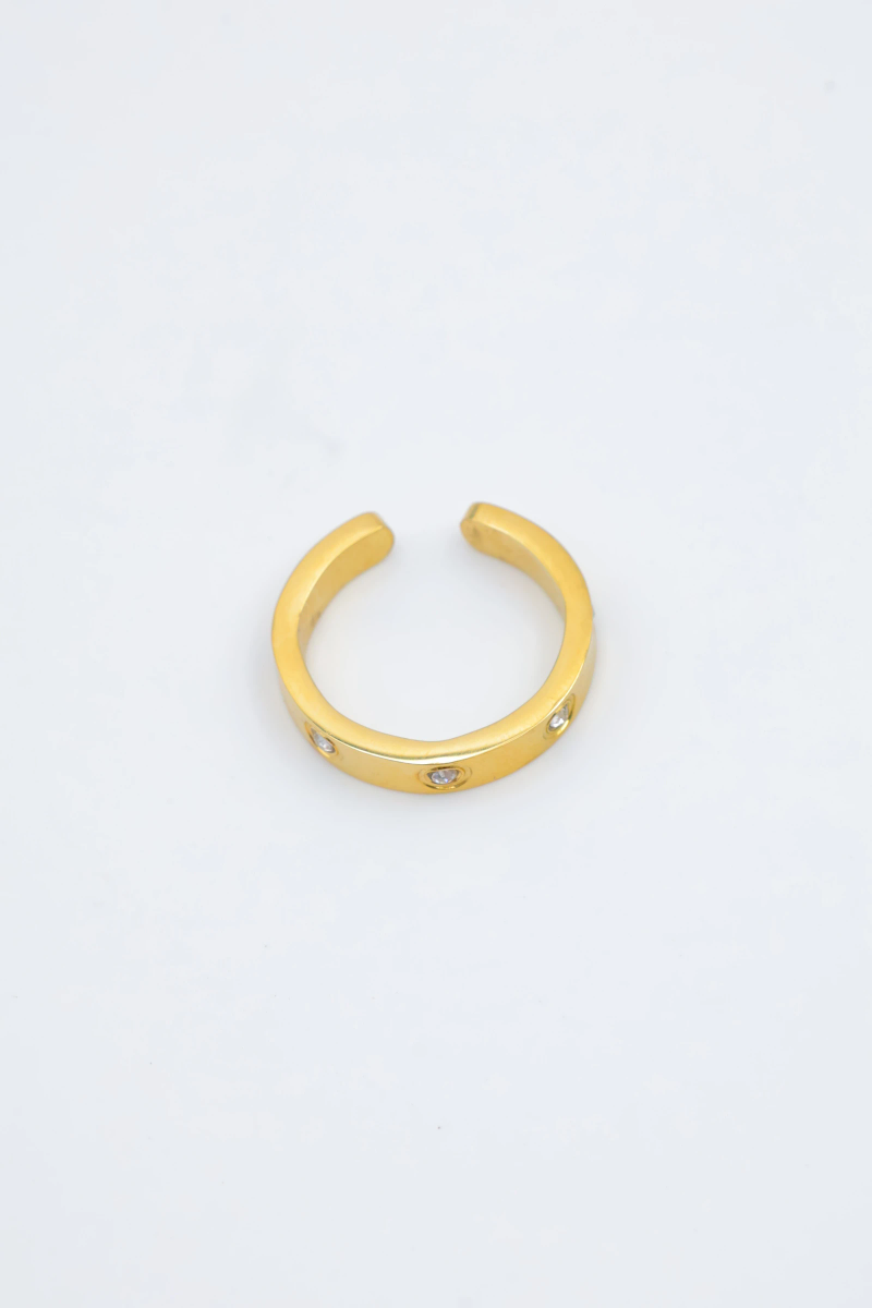 Bague en acier inoxydable ajustable 2