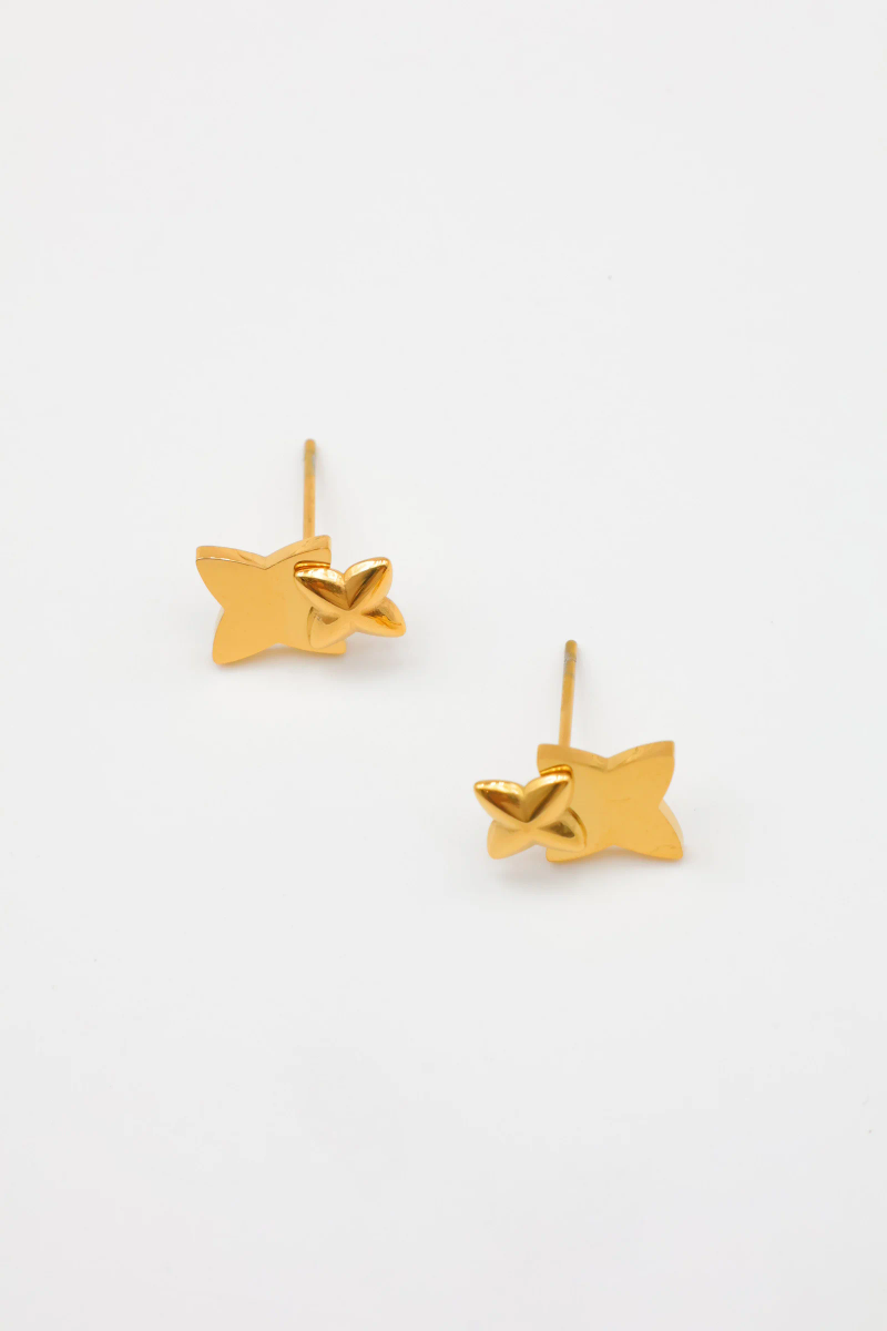Stainless steel earrings 2