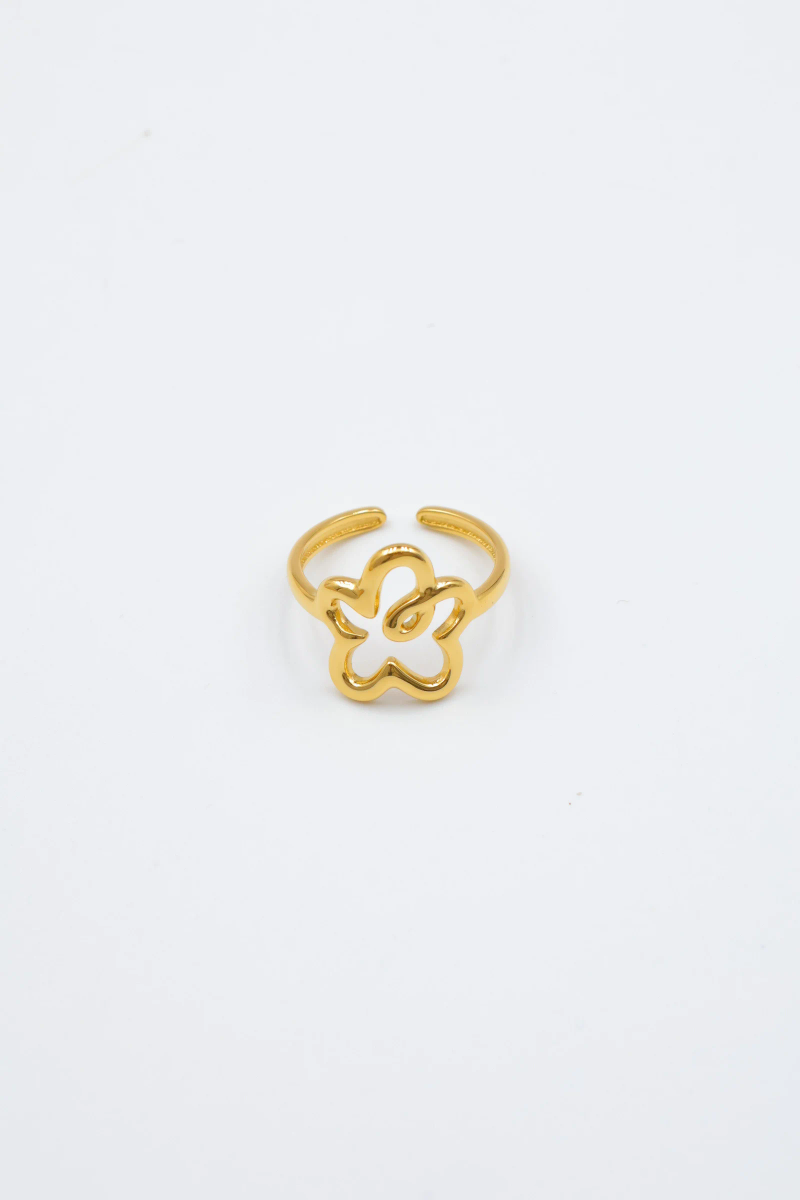 Bague ajustable en acier inoxydable 2