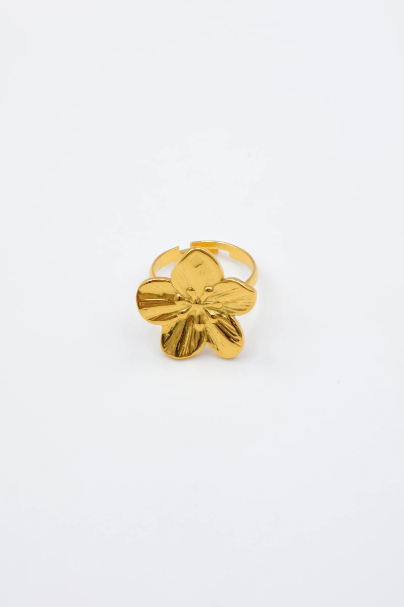 Bague ajustable en acier inoxydable 2