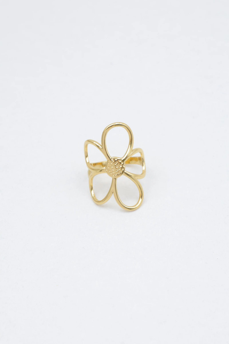 Bague ajustable en acier inoxydable