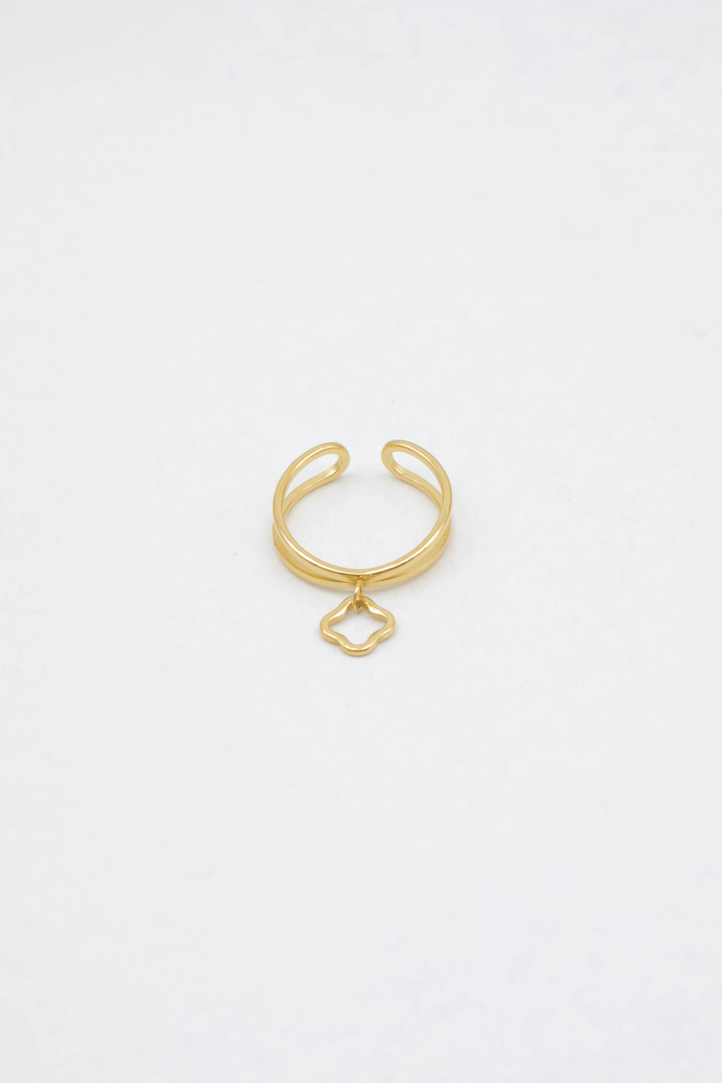 Bague ajustable en acier inoxydable 2