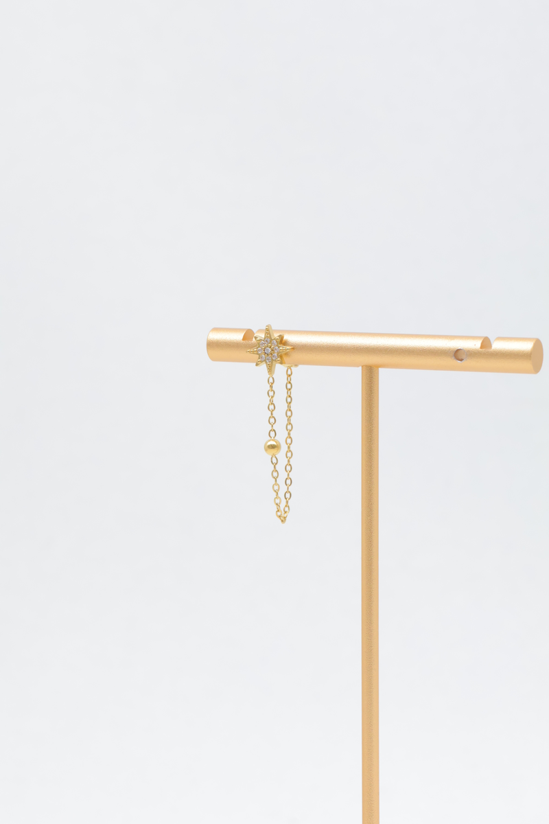 Stainless steel earrings 2