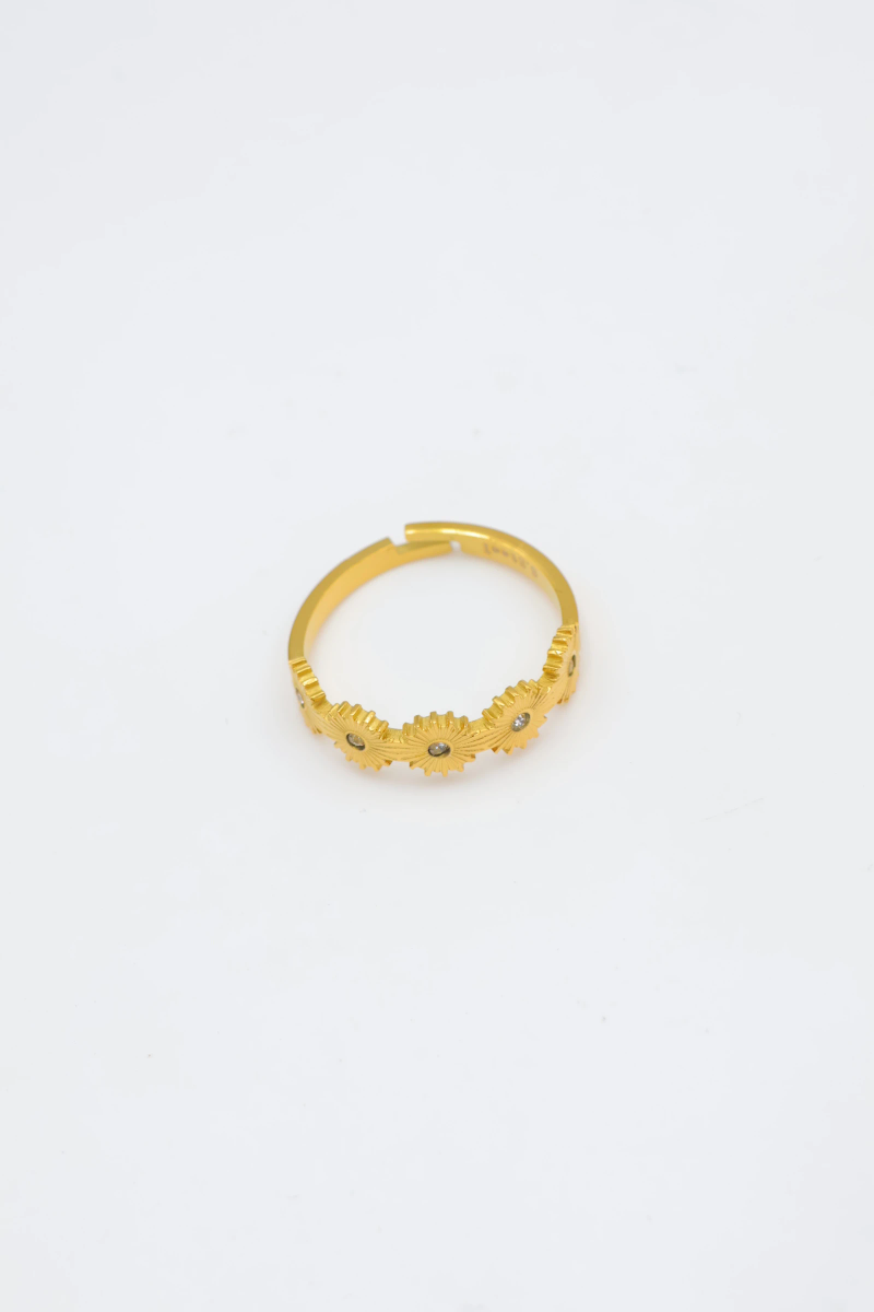Bague en acier inoxydable ajustable 2