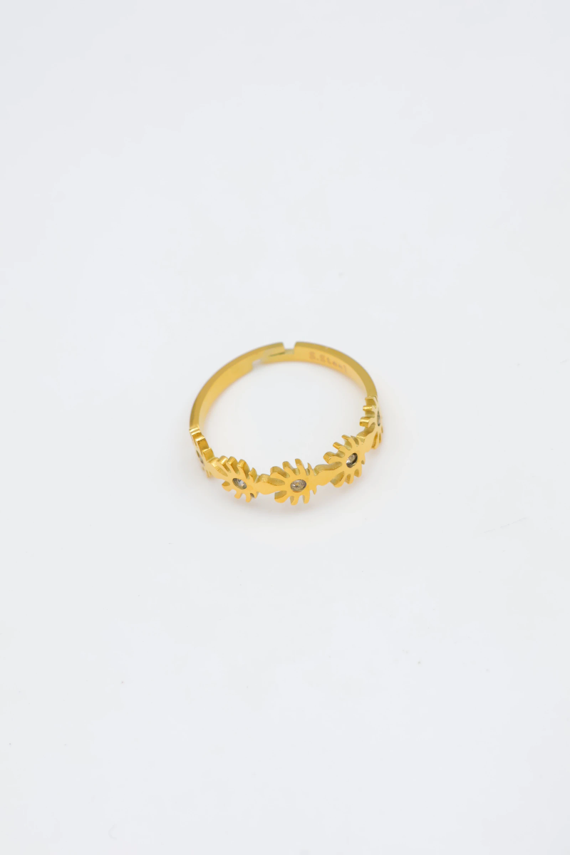 Bague en acier inoxydable ajustable 2