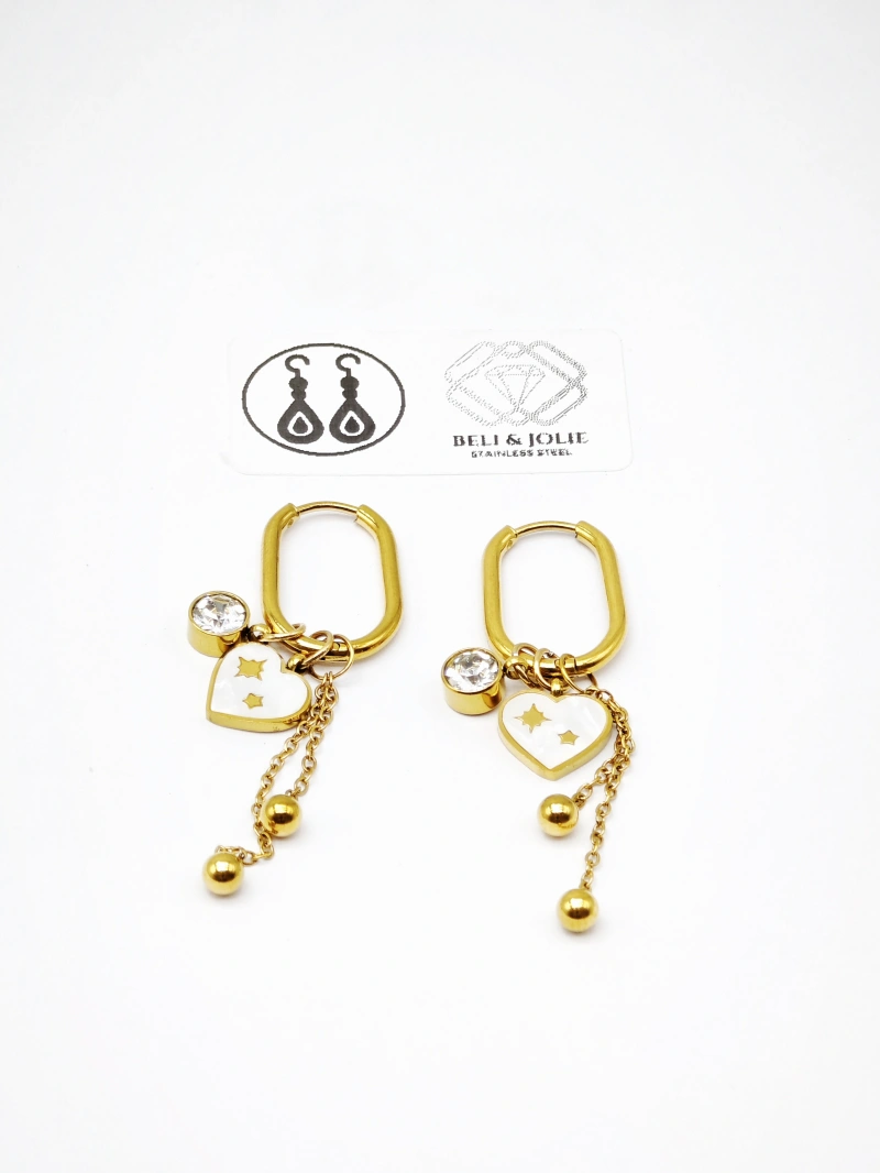 Stainless steel earrings 2