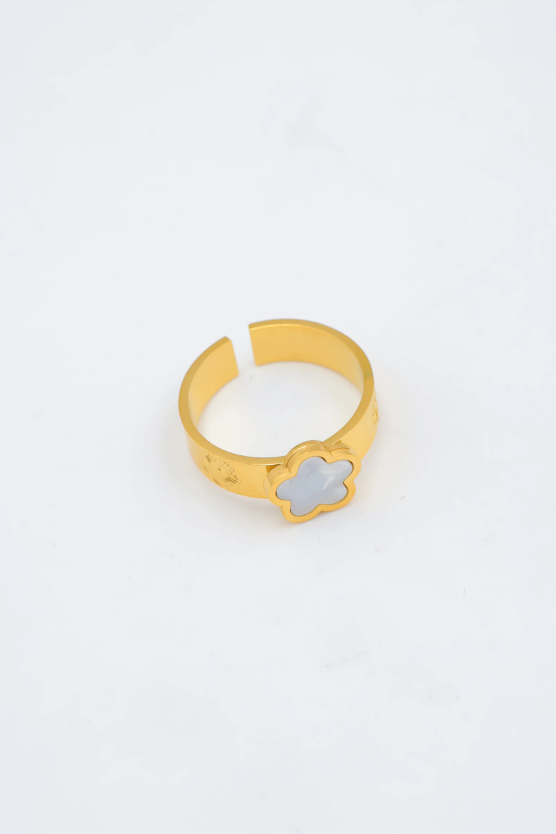 Bague en acier inoxydable ajustable 2
