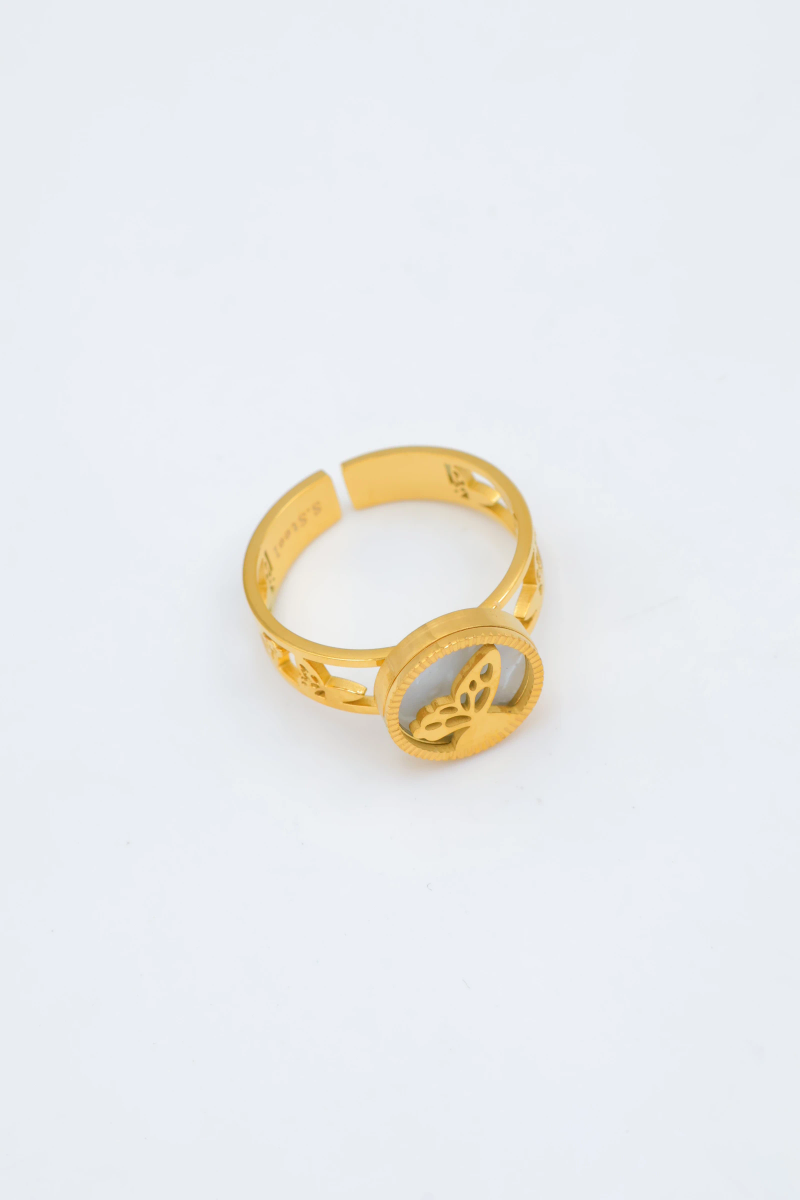 Bague en acier inoxydable ajustable 2