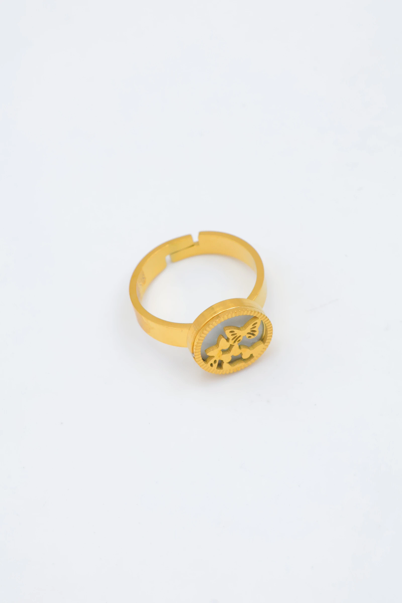 Bague en acier inoxydable ajustable 2