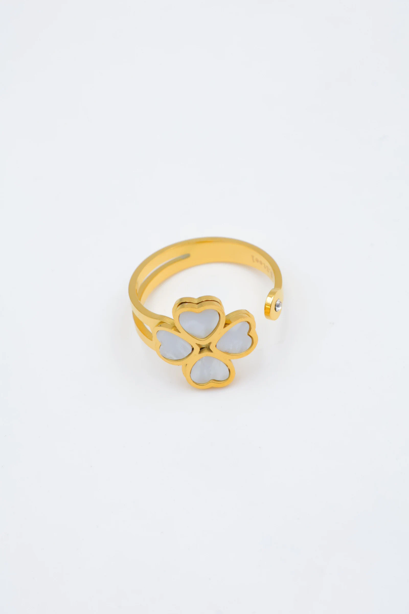 Adjustable stainless steel ring 3