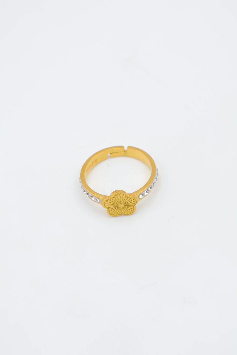 Bague en acier inoxydable ajustable 2