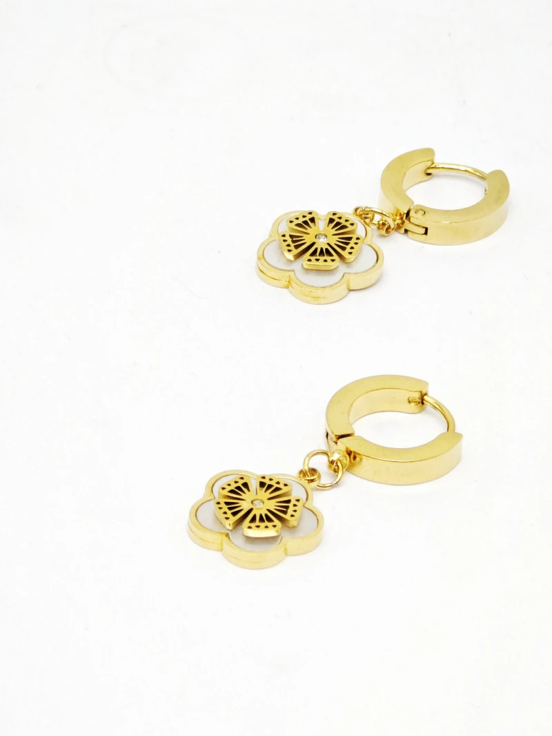 Stainless steel earrings 2