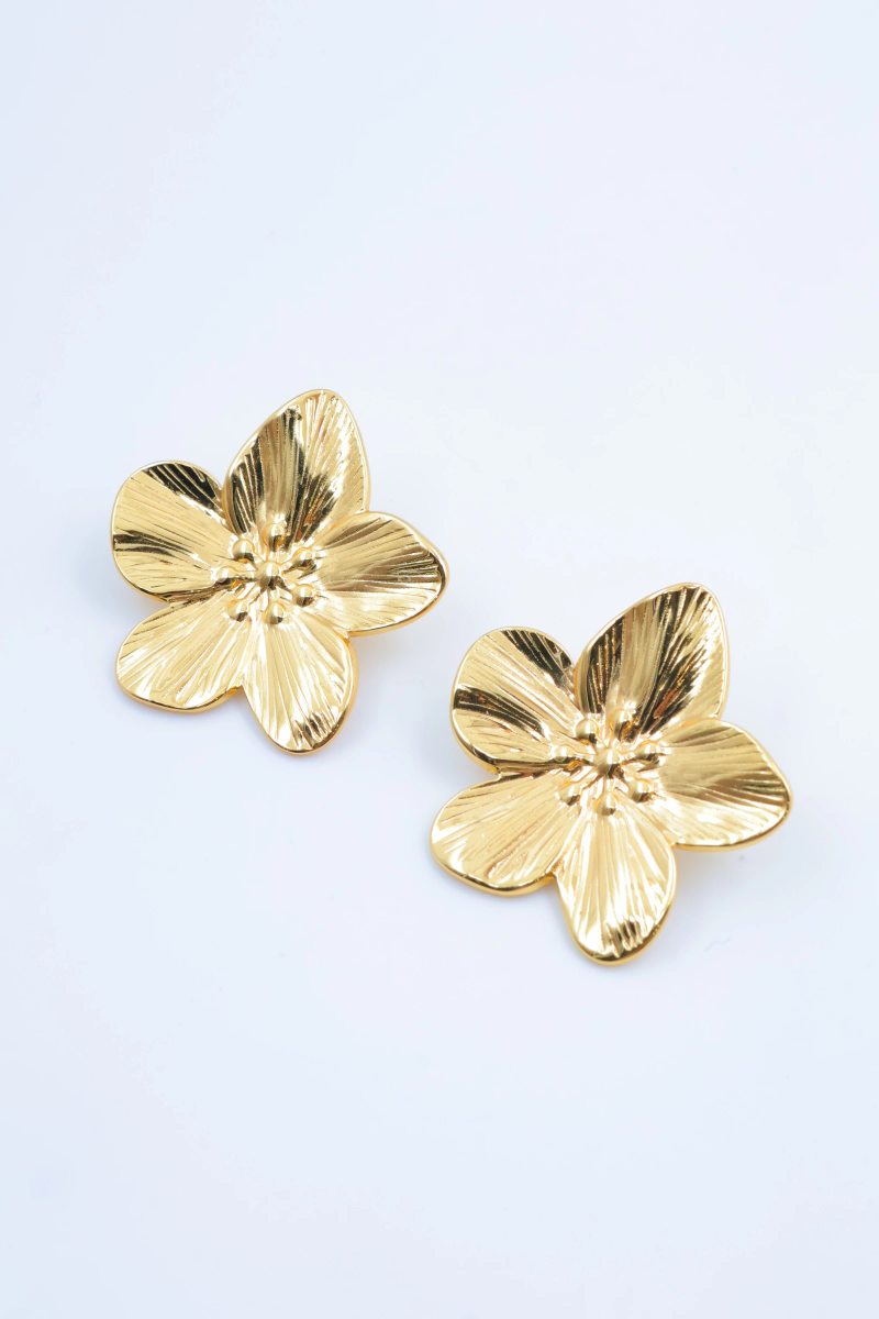 Stainless steel earrings 2