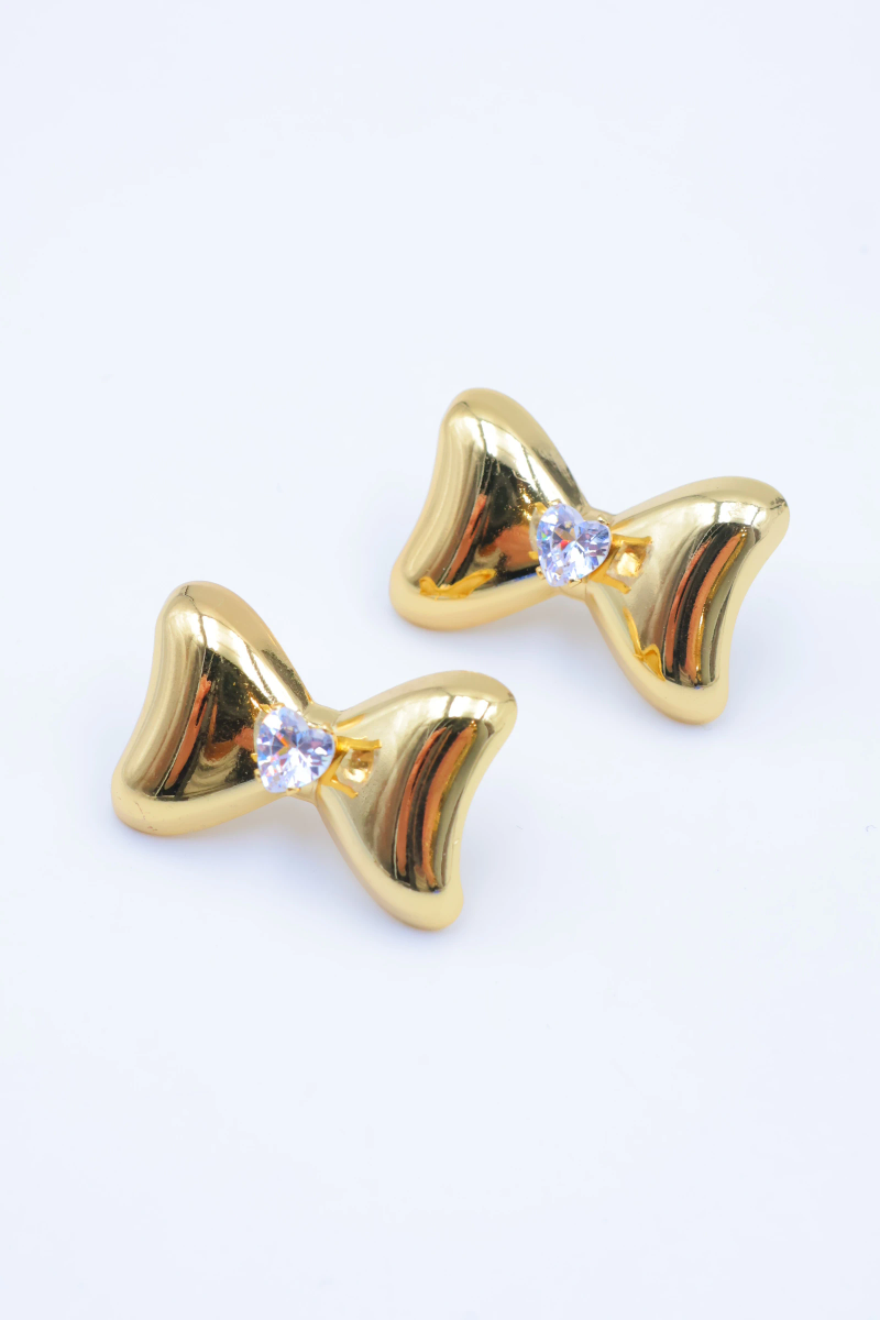 Stainless steel earrings 2