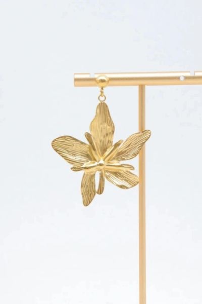 Stainless steel earrings 2