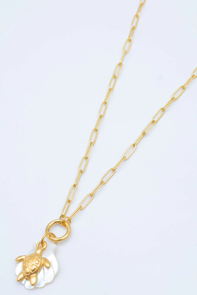 Collier en acier inoxydable 2