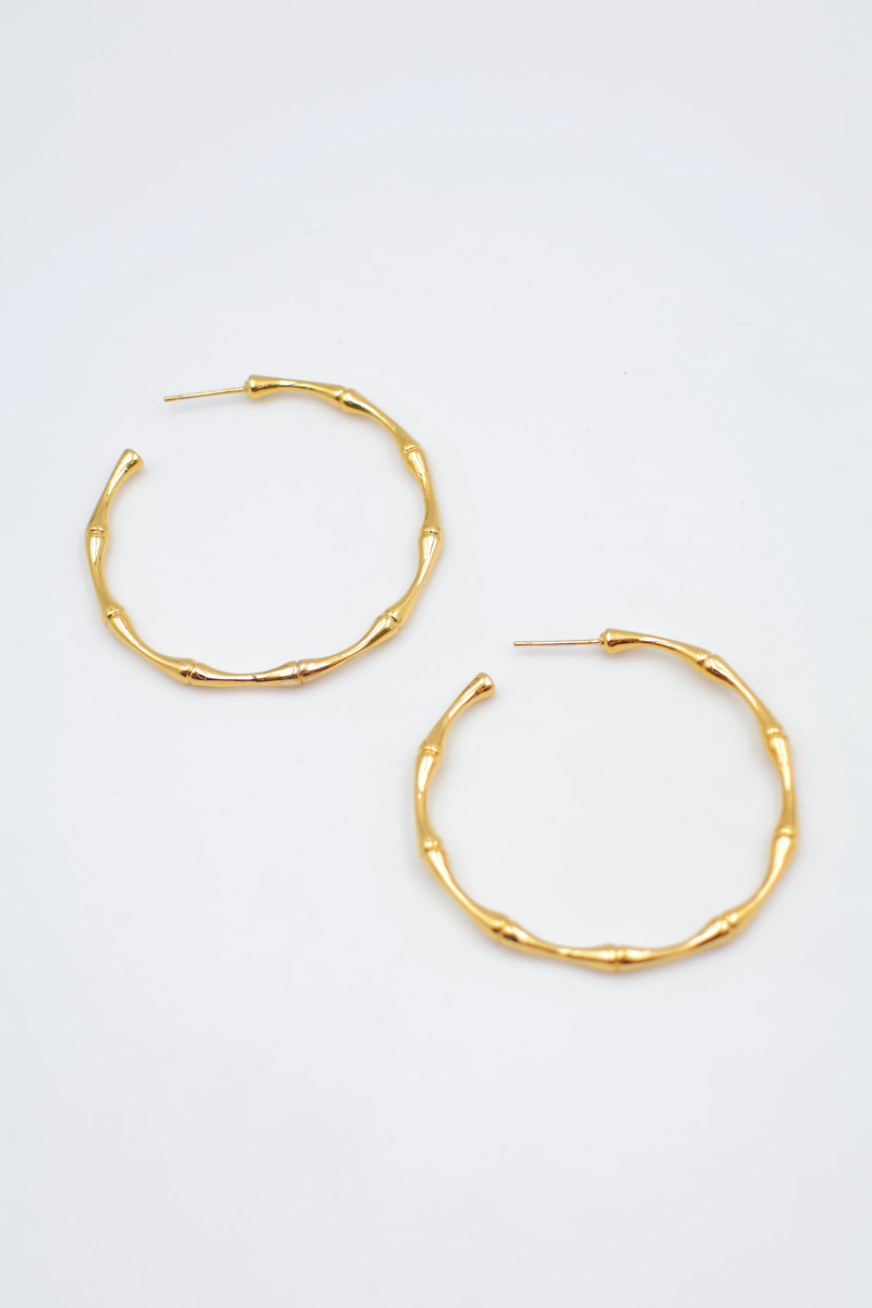 Boucles d'oreilles en acier inoxydable 2