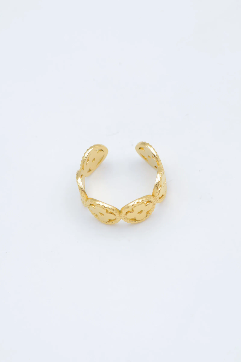 Bague en acier inoxydable ajustable 2