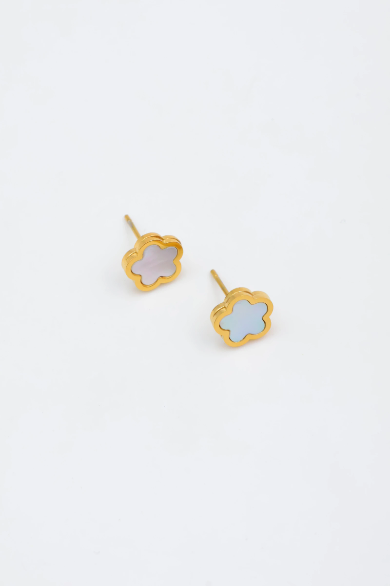 Stainless steel earrings 2