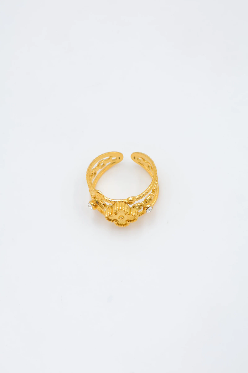 Bague en acier inoxydable ajustable 2