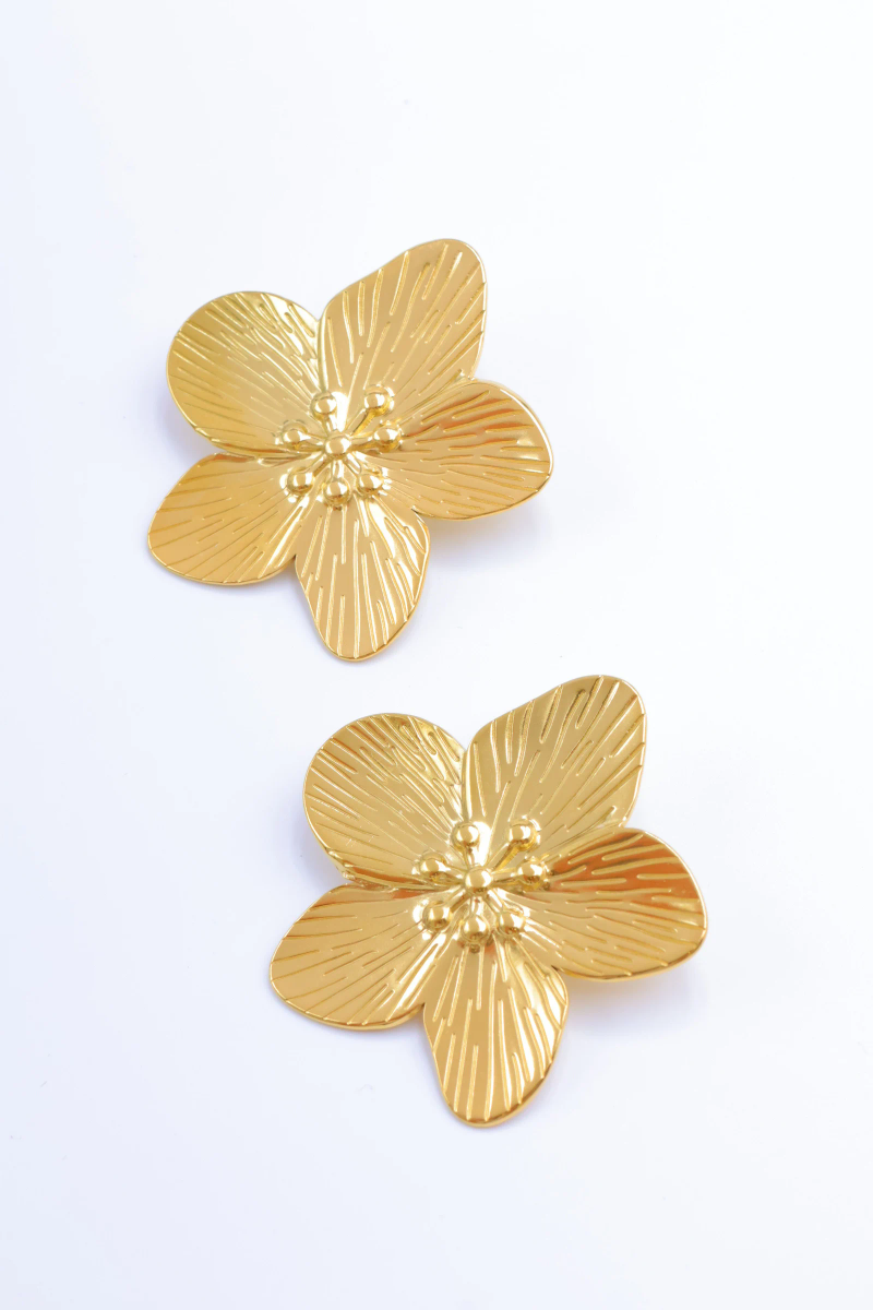 Boucles d'oreilles en acier inoxydable 3