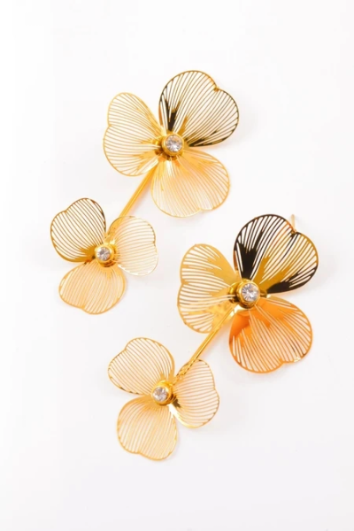Stainless steel earrings 2