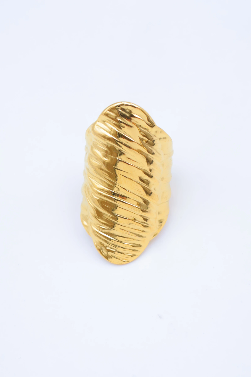 Bague en acier inoxydable ajustable 2