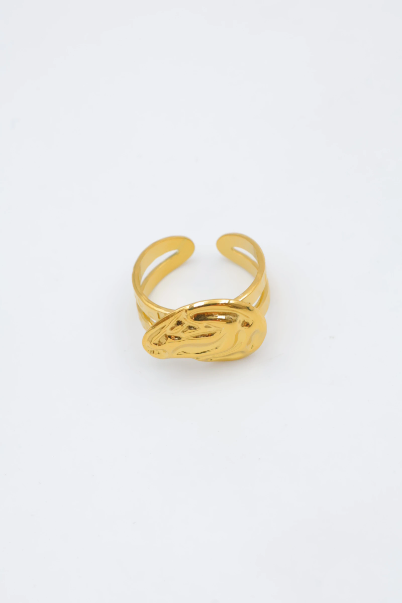 Adjustable stainless steel ring 2