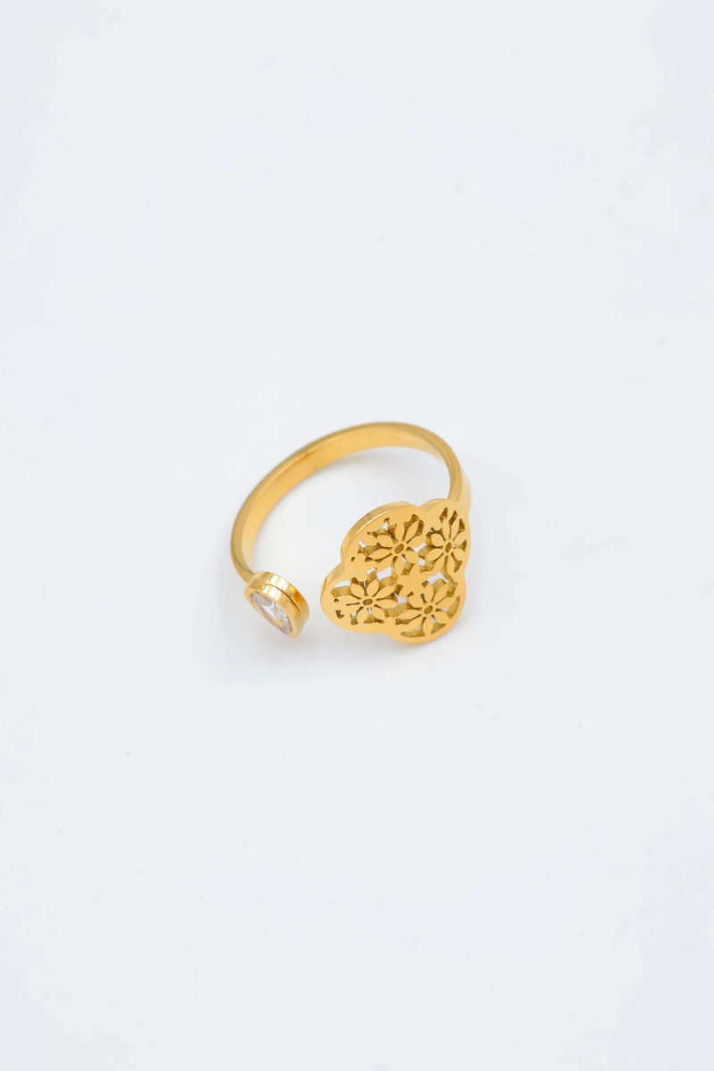 Bague en acier inoxydable ajustable 2
