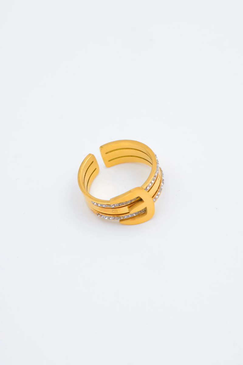 Bague en acier inoxydable ajustable 2