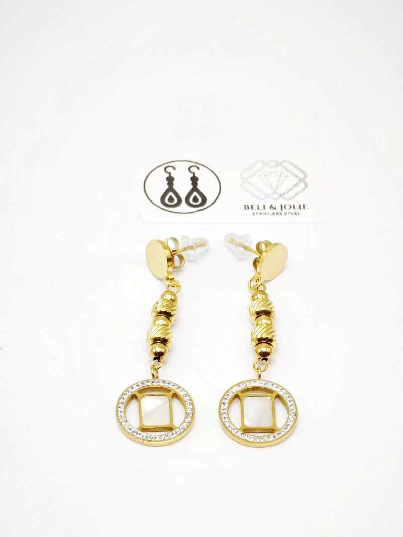 Stainless steel earrings 2