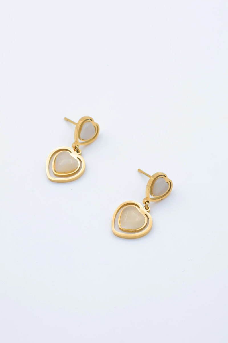 Stainless steel earrings 2